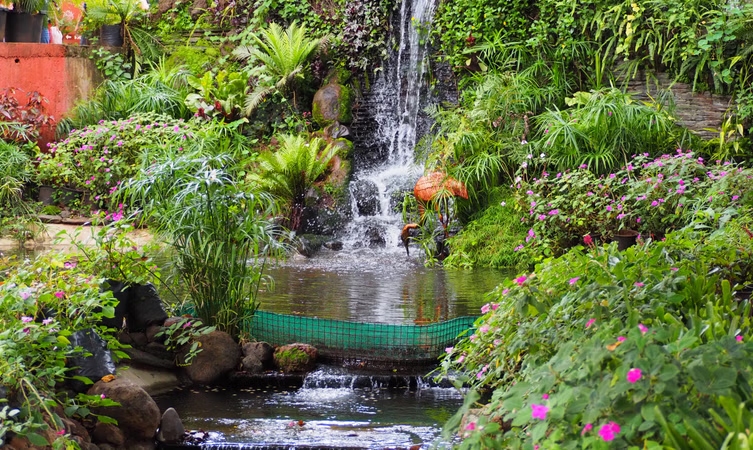 Mapro Garden